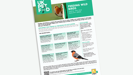 Feeding Wild Birds 2026.png