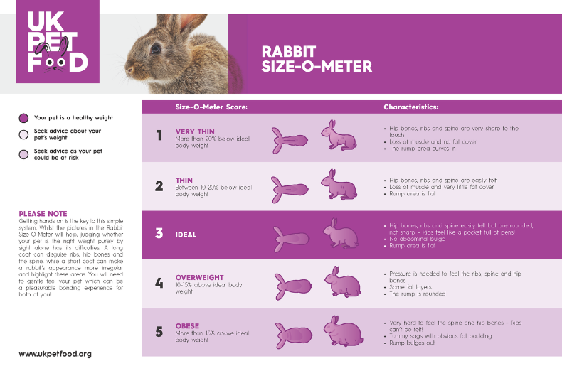 Rabbit Size-O-Meter, Rabbit Weight Chart, Rabbit Size Chart