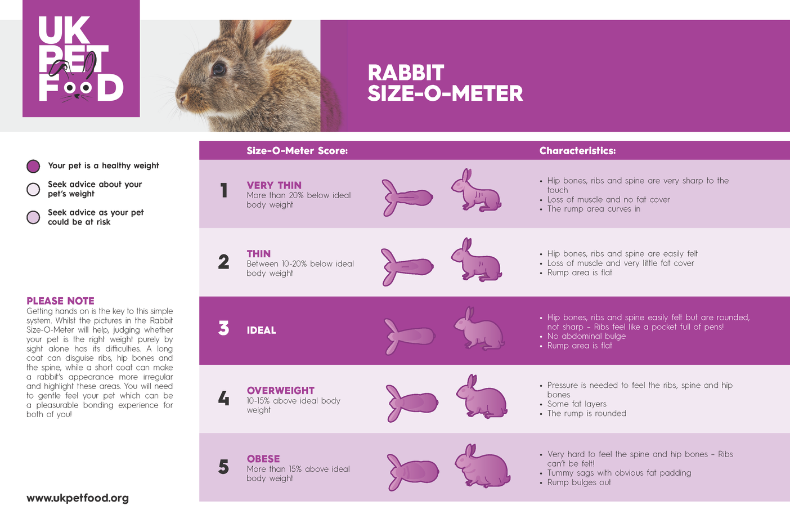 Rabbit Size-O-Meter | UK Pet Food