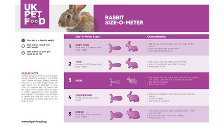 rabbit-size-o-meter-png