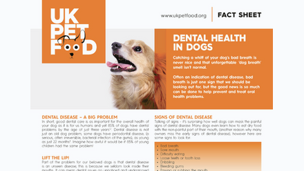 dental health fs half.png