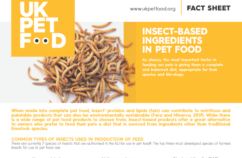 Insect-based ingredients