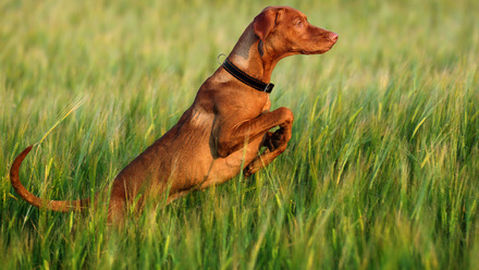 12069_UKPF_Sustainability Toolkit_v3_Page_01_Image_0001 (1).jpg