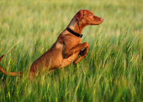 12069_UKPF_Sustainability Toolkit_v3_Page_01_Image_0001 (1).jpg