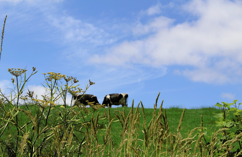 Member initiatives for sustainable Ingredient Sourcing