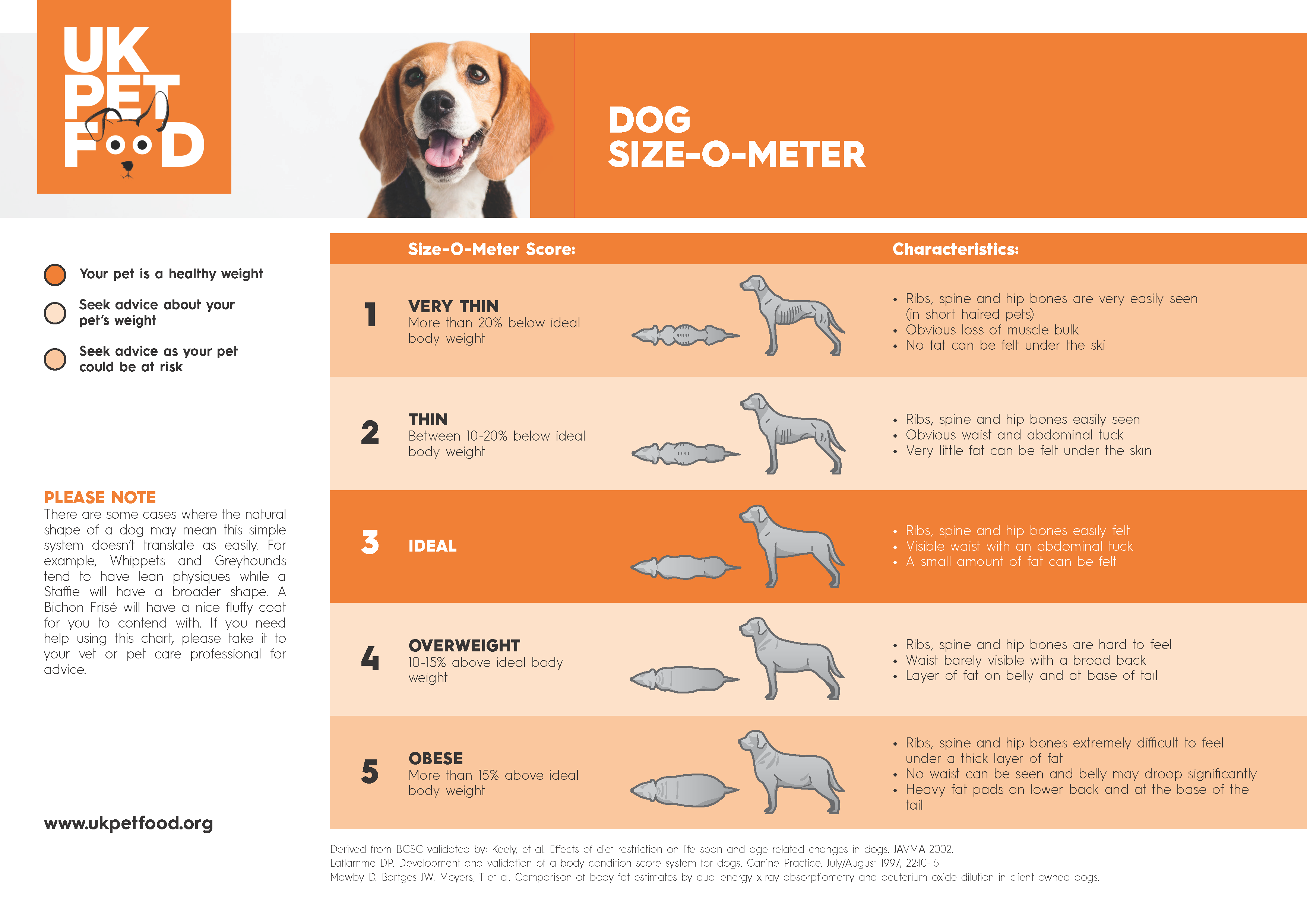 Dog Size O Meter, Healthy Dog Weight, Healthy Dog Size, Dog Size