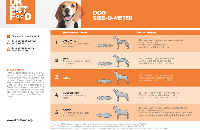 Dog Size-O-Meter
