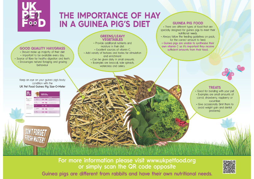 importance of hay in gp diet.png
