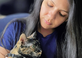 National pet month cat simba article