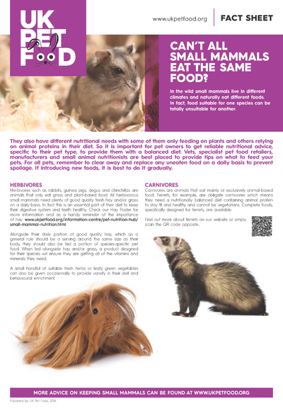 Can all small mammals eat the same food? | UK Pet Food