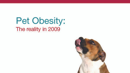PFMA Pet Obesity - The Reality 2009_Page_01.jpg