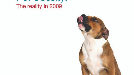 PFMA Pet Obesity - The Reality 2009_Page_01.jpg