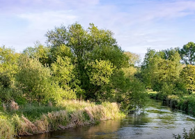 Screen Shot 2023-03-15 at 13.55.15.png