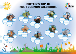 Top-Ten-Common-Wild-Birds WEB.jpg