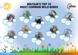 Top-Ten-Common-Wild-Birds WEB.jpg