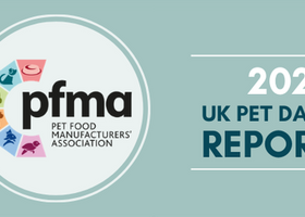 website data report.png